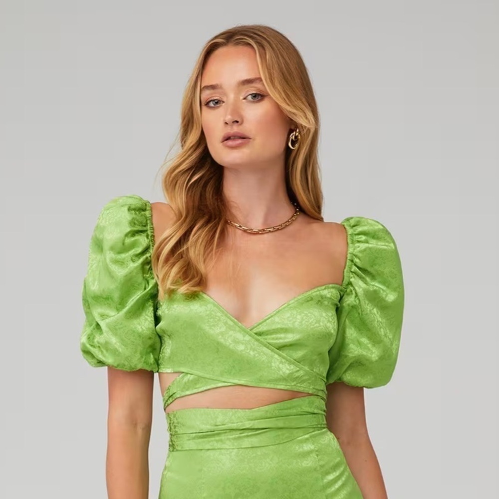 NWT Ronny Kobo Green Zano top $348 - SIZE SMALL (can fit medium!)